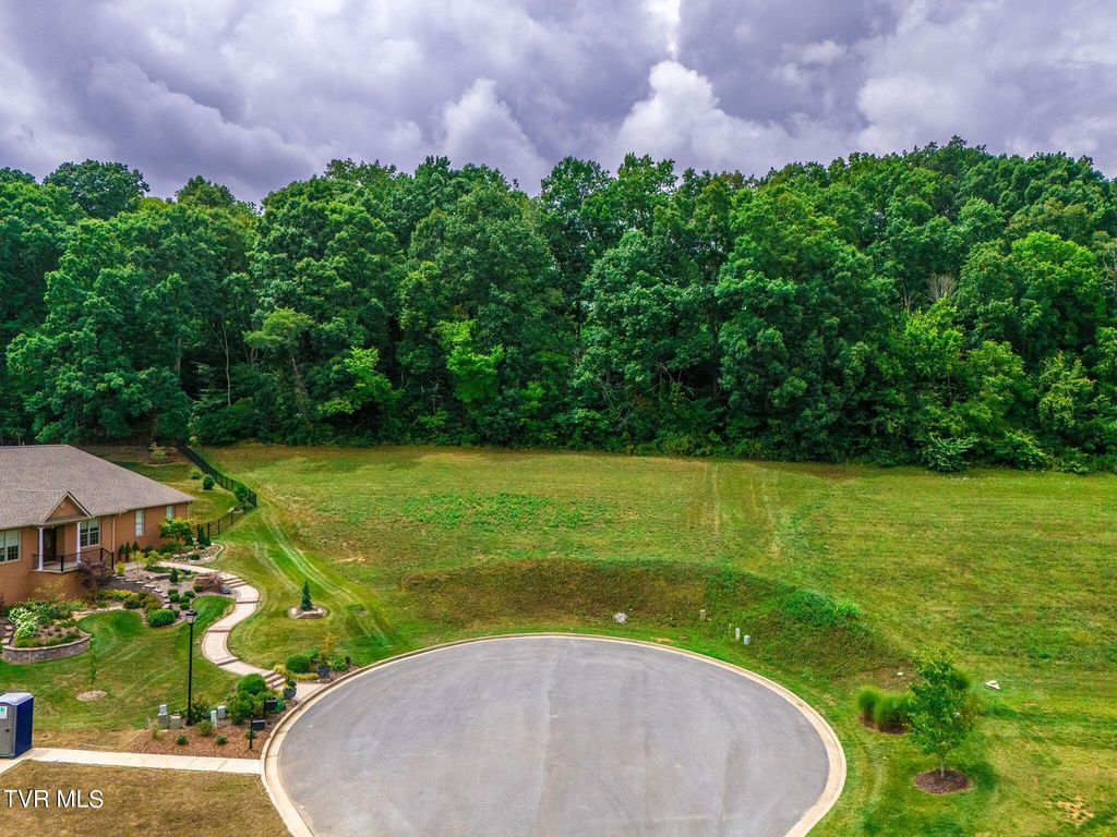 Photo of 5 Sweet Pea Terrace, Johnson City, TN 37615 (MLS # 9969170)