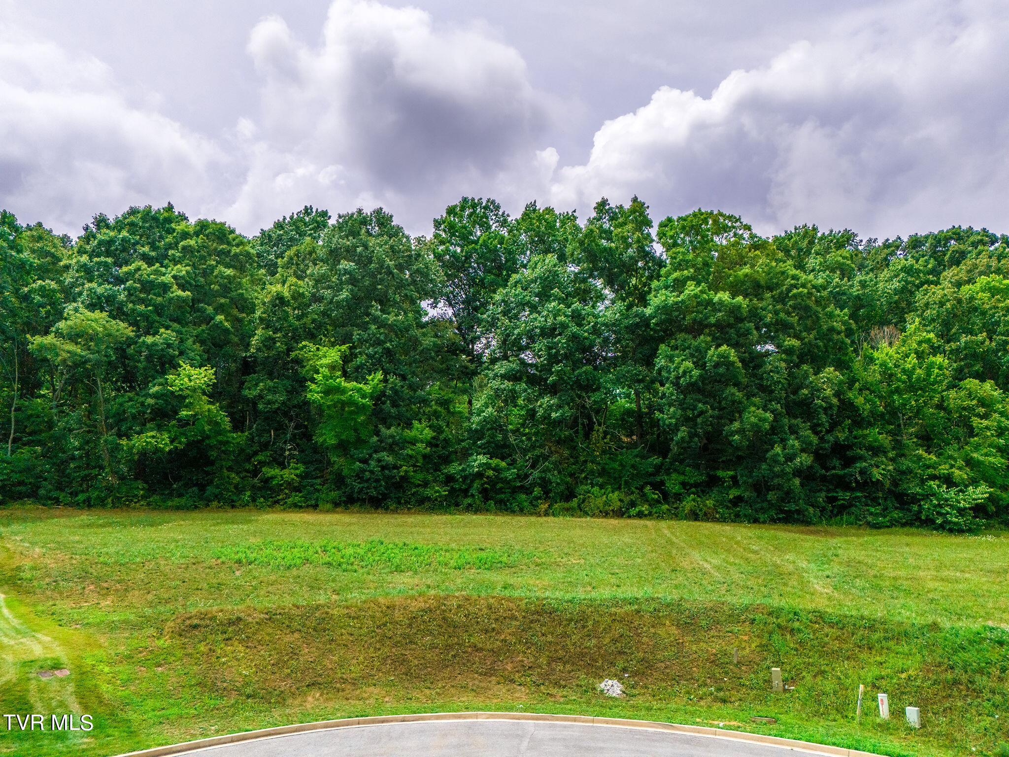 5 Sweet Pea Terrace, Johnson City, Tennessee image 11
