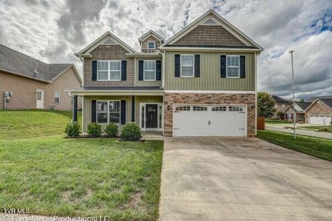 Photo of 619 Suffolk Road, Johnson City, TN 37615 (MLS # 9989517)