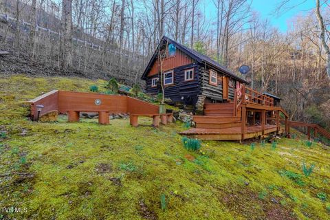 Photo of 1878 Little Cove Road, Sevierville, TN 37862 (MLS # 9992328)