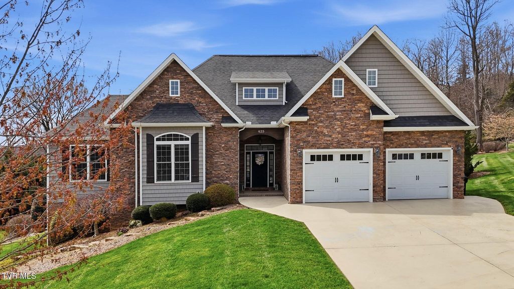 Photo of 425 Settlers Way, Gray, TN 37615 (MLS # 9993219)