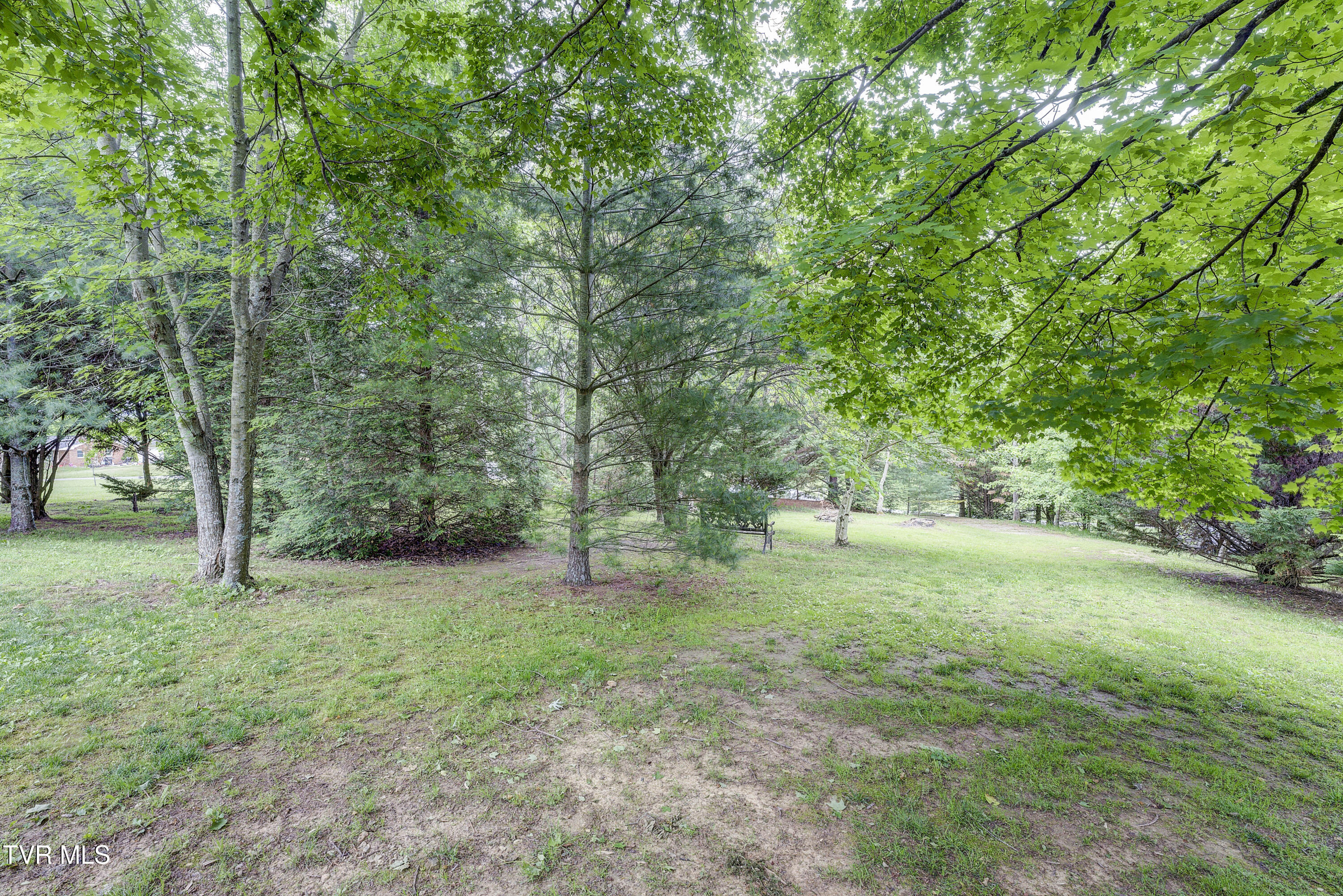 3395 Milburnton Road, Limestone, Tennessee image 16