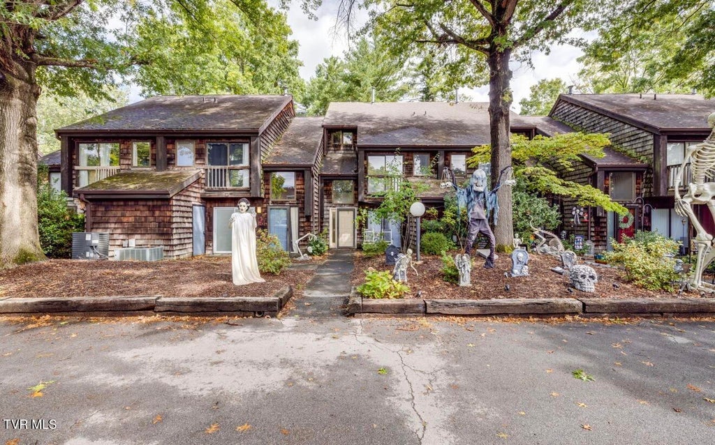 Photo of 115 Beechnut Street #Apt I4, Johnson City, TN 37601 (MLS # 10001290)