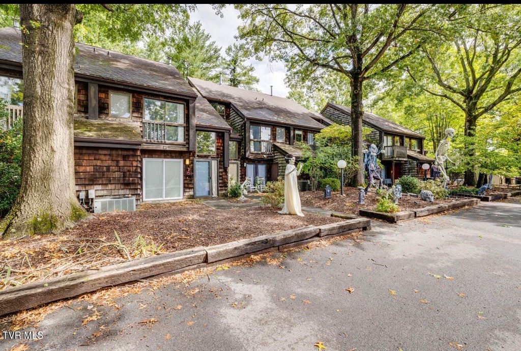 Photo of 115 Beechnut Street #Apt I4, Johnson City, TN 37601 (MLS # 10001290)