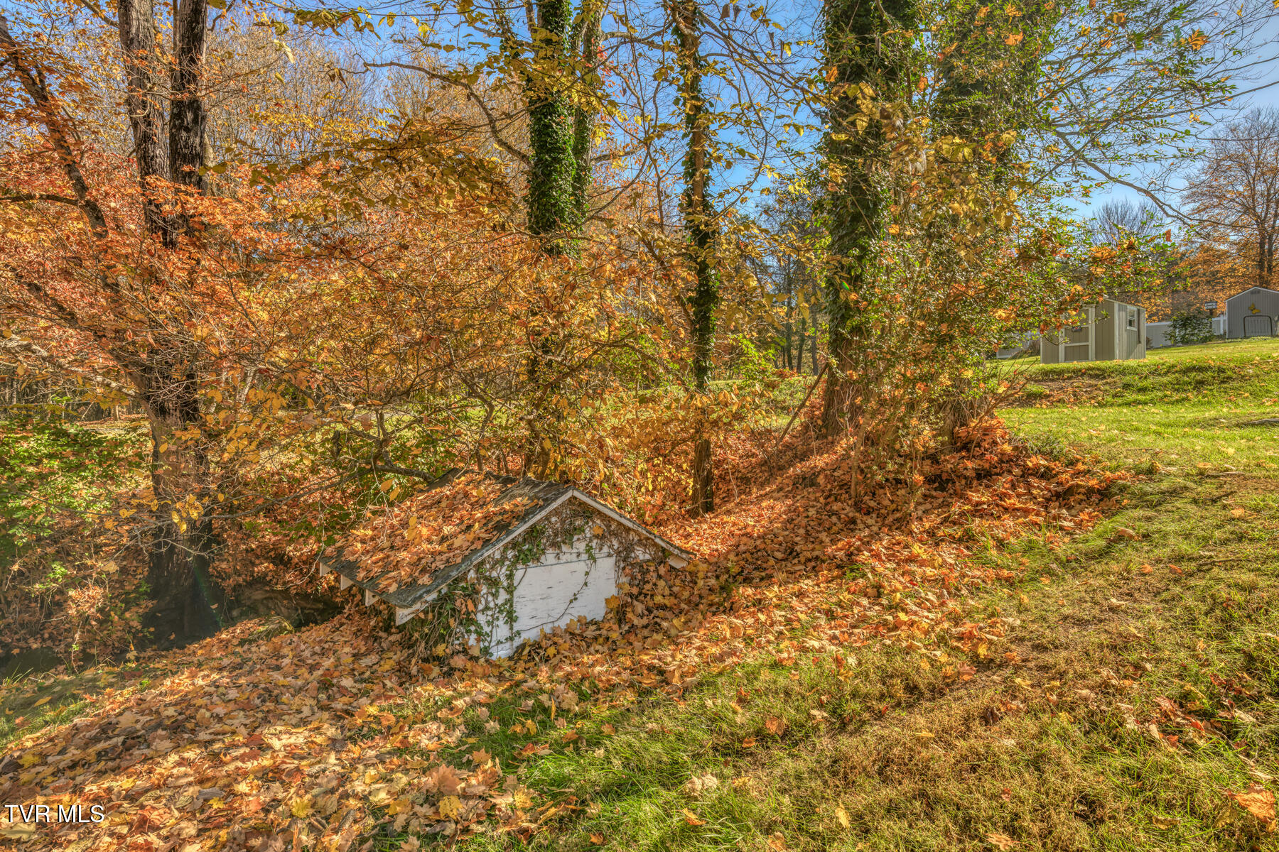 Johnson City, Tennessee 37601, United States, 3 Bedrooms Bedrooms, ,2 BathroomsBathrooms,Residential,Pending,34448