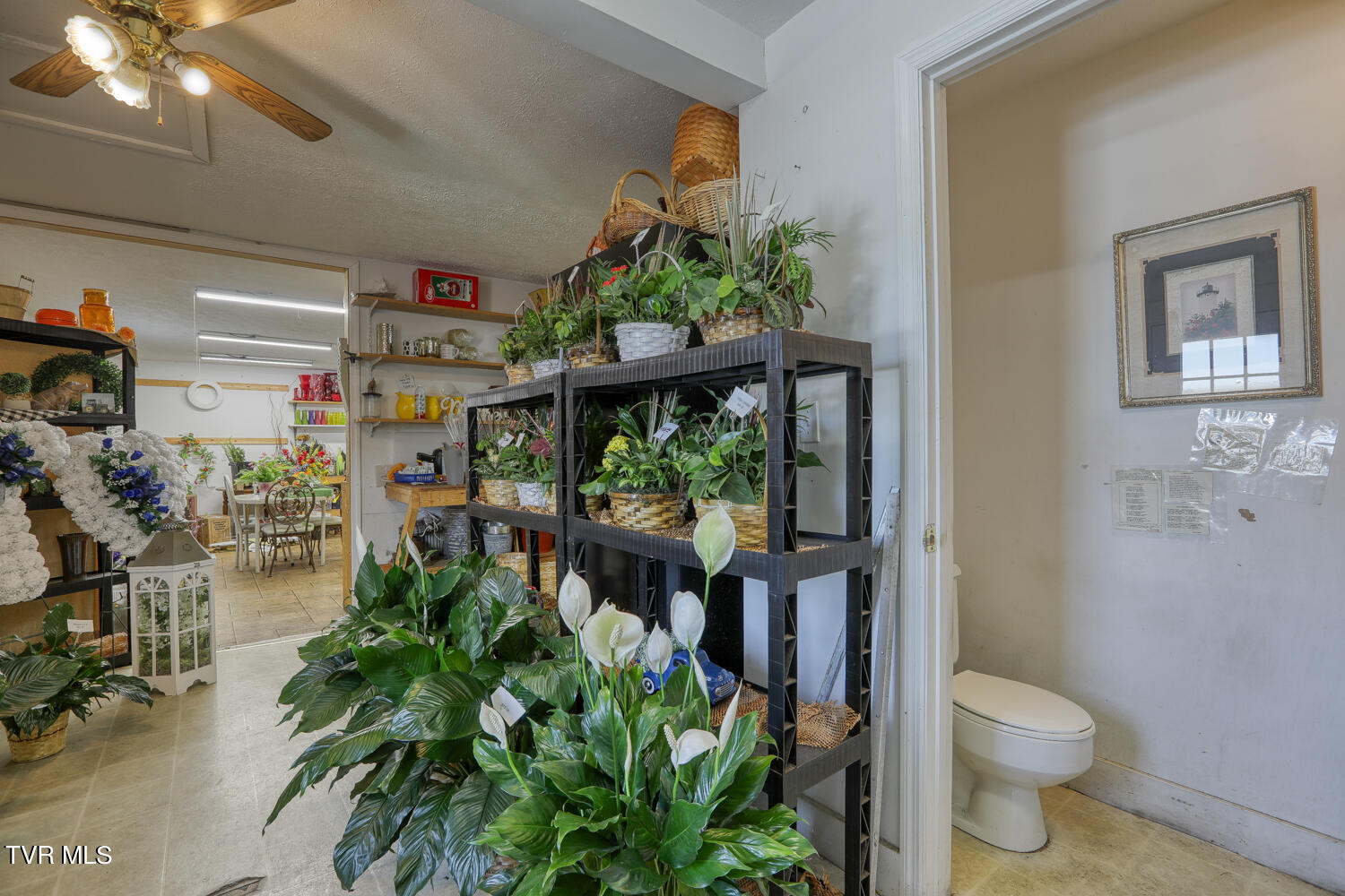 812 Main Street, Rogersville, Tennessee image 31