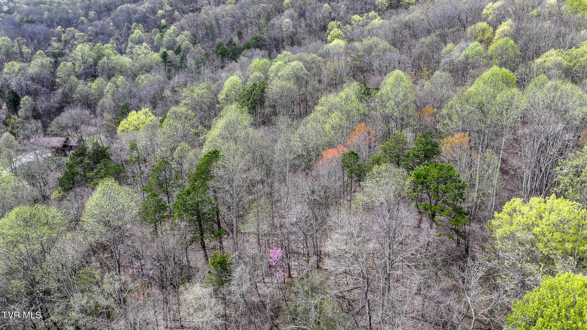 340 Melinda Ferry Road, Rogersville, Tennessee image 5