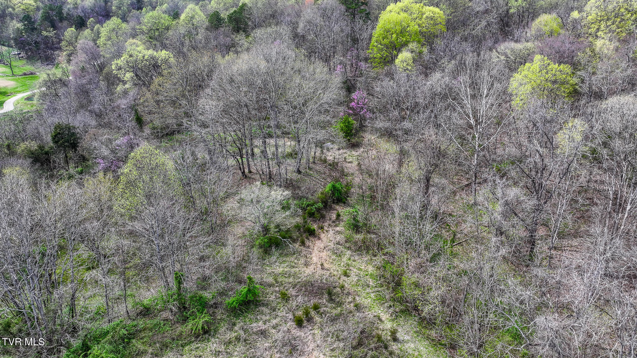 340 Melinda Ferry Road, Rogersville, Tennessee image 4