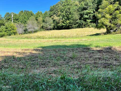 Vacant Land For Sale - 00 Estep Loop<br/> Elizabethton, TN 37643