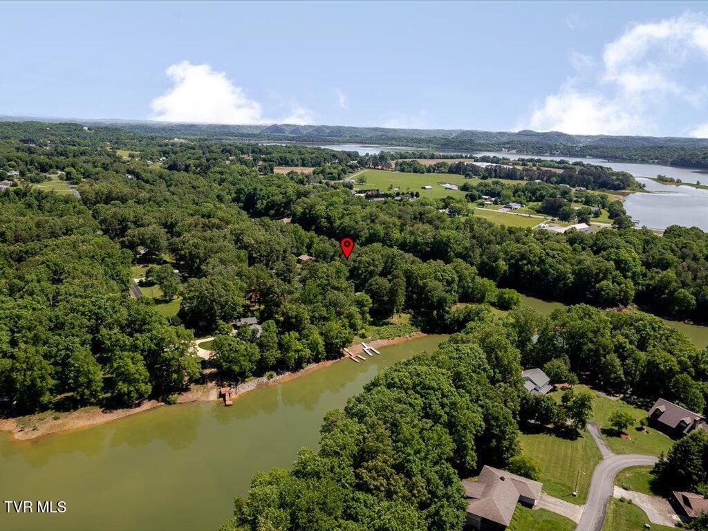3428 Connie Lane, White Pine, Tennessee image 44