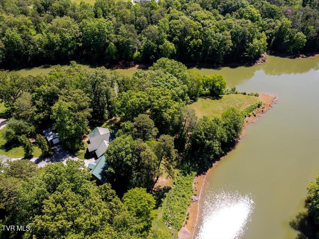3428 Connie Lane, White Pine, Tennessee image 42