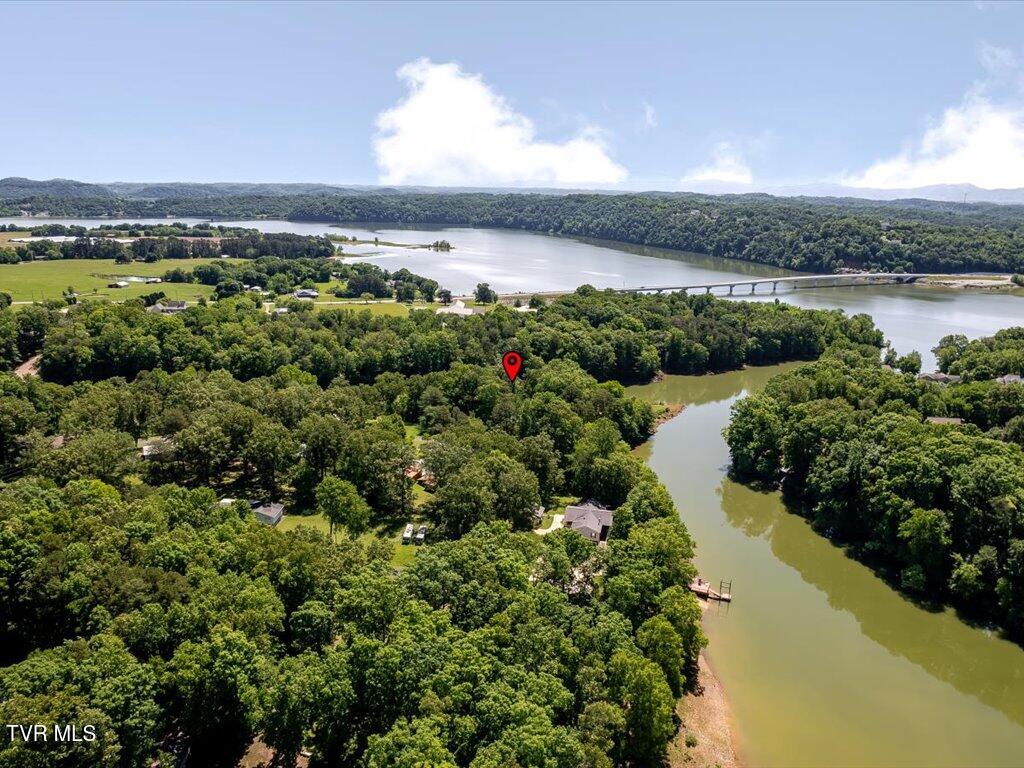 3428 Connie Lane, White Pine, Tennessee image 43