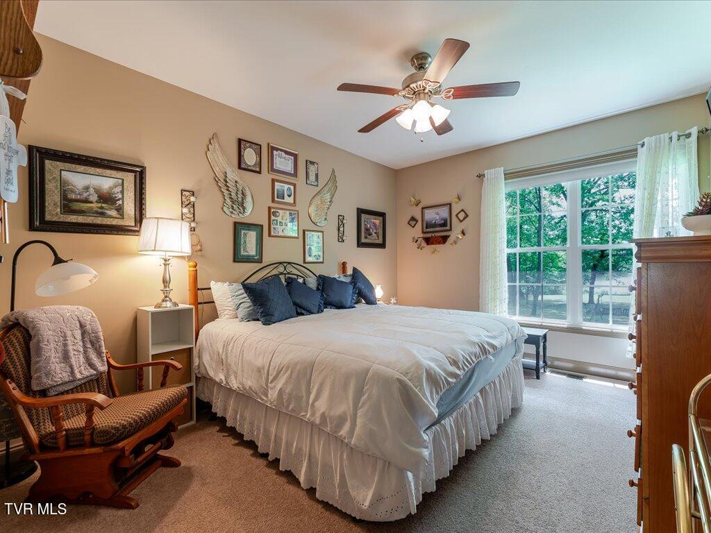 3428 Connie Lane, White Pine, Tennessee image 23