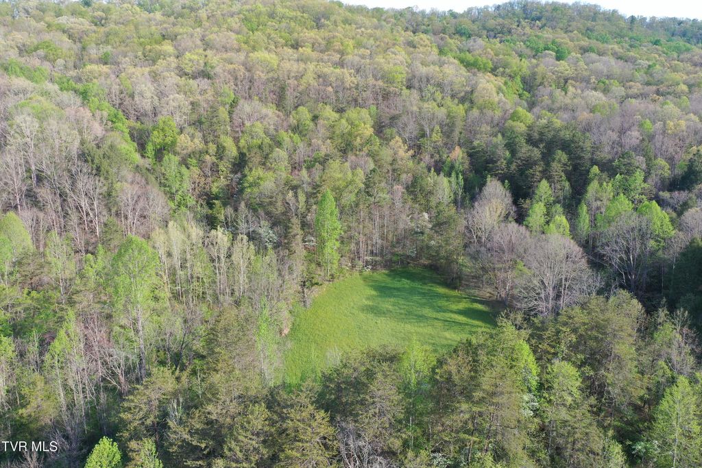 Photo of 1529 Beech Creek Rd Road, Rogersville, TN 37857 (MLS # 9994287)