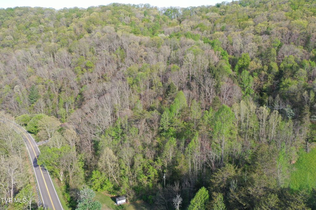 Photo of 1529 Beech Creek Rd Road, Rogersville, TN 37857 (MLS # 9994287)