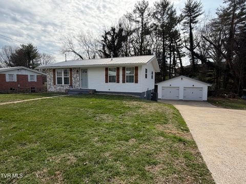 Photo of 114 Mayor Avenue, Greeneville, TN 37745 (MLS # 9991918)