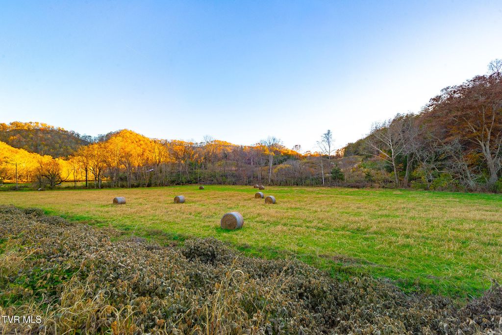 Photo of 0 Flower Gap Road, Blackwater, VA 24221 (MLS # 9988033)