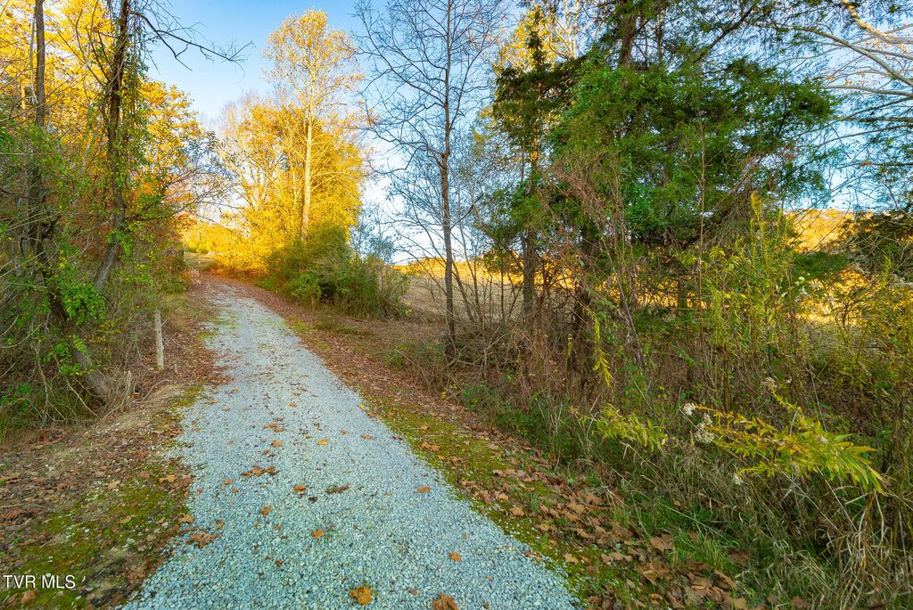 Photo of 0 Flower Gap Road, Blackwater, VA 24221 (MLS # 9988033)