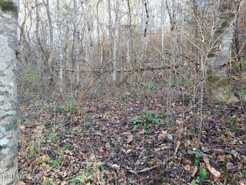 Tbd Bullen Valley Road, Thorn Hill, Tennessee image 10