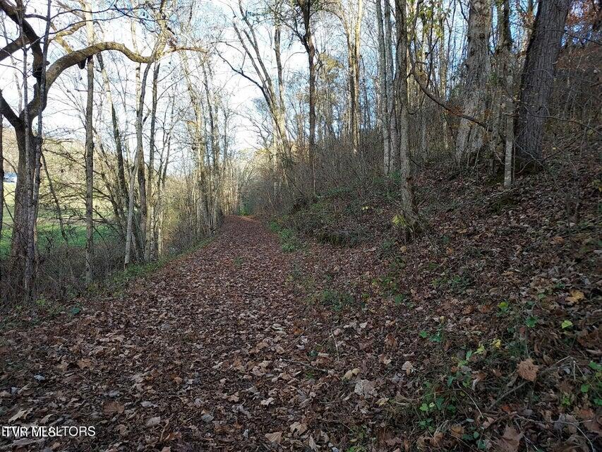 Tbd Bullen Valley Road, Thorn Hill, Tennessee image 5