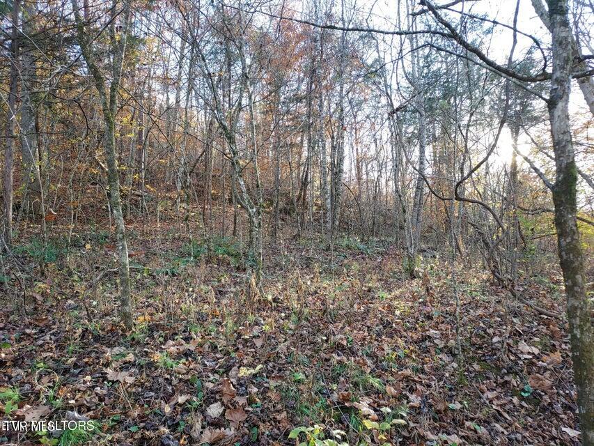 Tbd Bullen Valley Road, Thorn Hill, Tennessee image 7