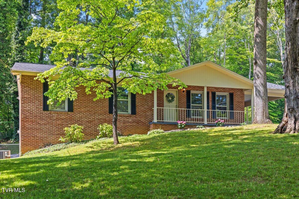 1820 Brook Hollow Road, Johnson City, Tennessee image 1