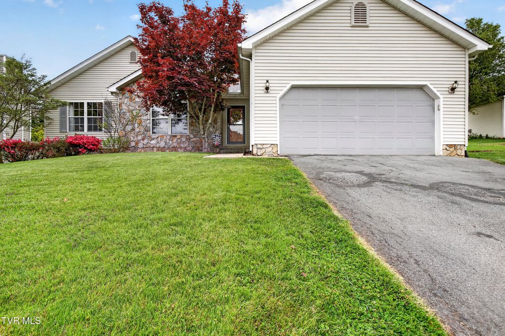 Photo of 319 Leslie Court, Bristol, TN 37620 (MLS # 9993841)