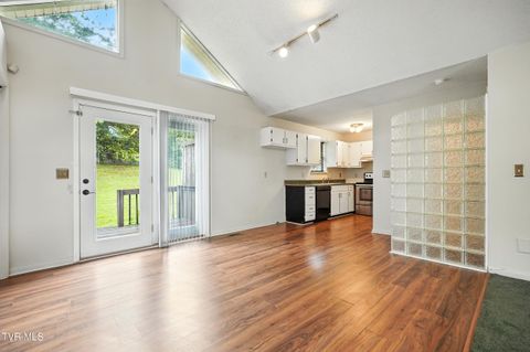 Tiny photo for 1756 Todd Drive, Johnson City, TN 37604 (MLS # 9986416)
