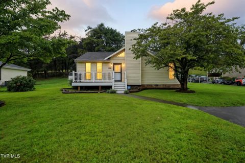 Tiny photo for 1756 Todd Drive, Johnson City, TN 37604 (MLS # 9986416)