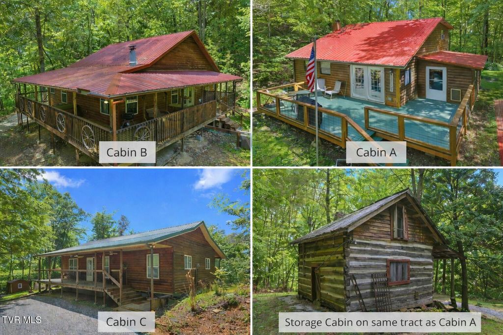 Photo of 236 Beech Street, Sneedville, TN 37869 (MLS # 9990703)