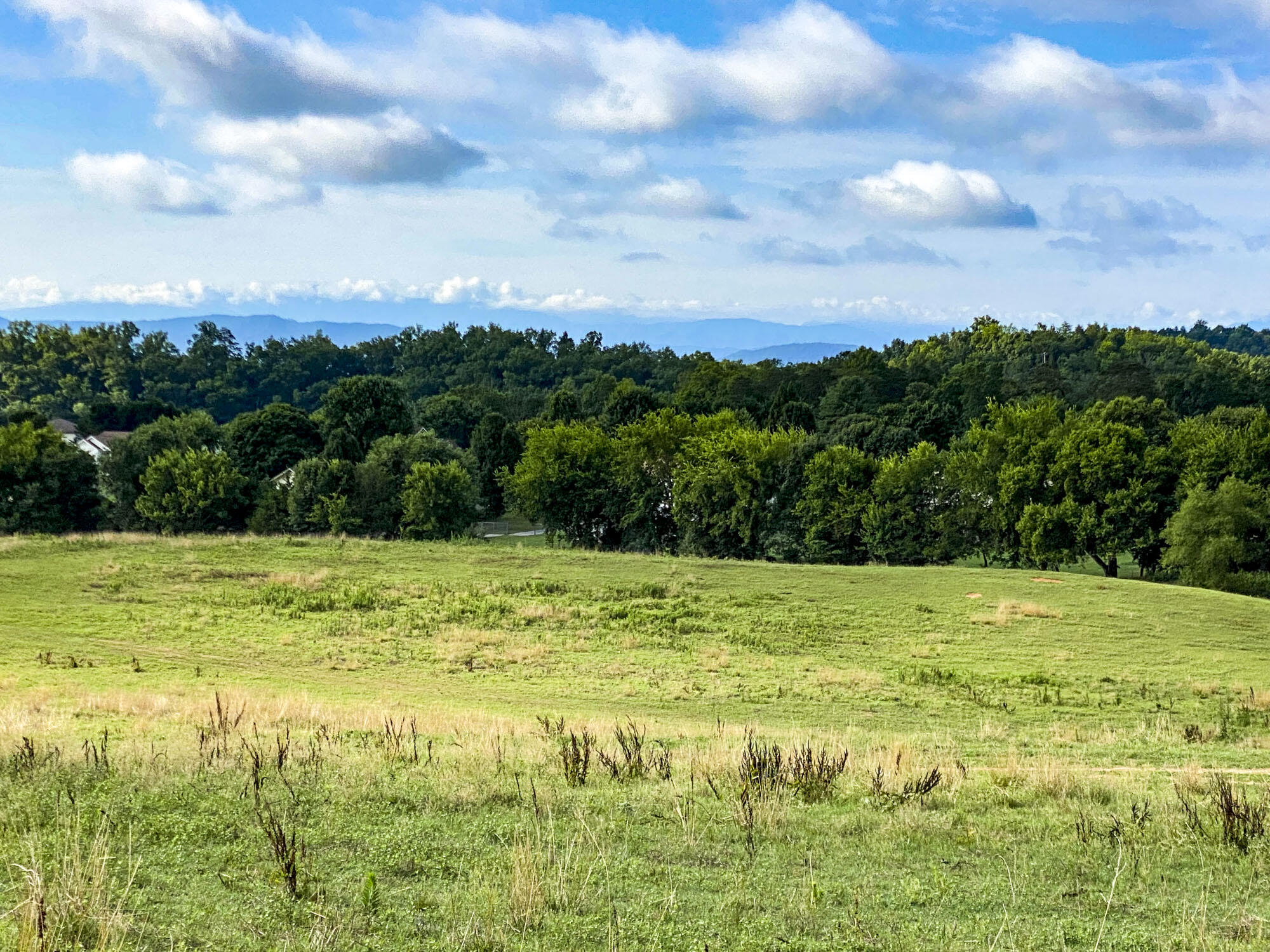 Hwy 139, Dandridge, Tennessee image 5