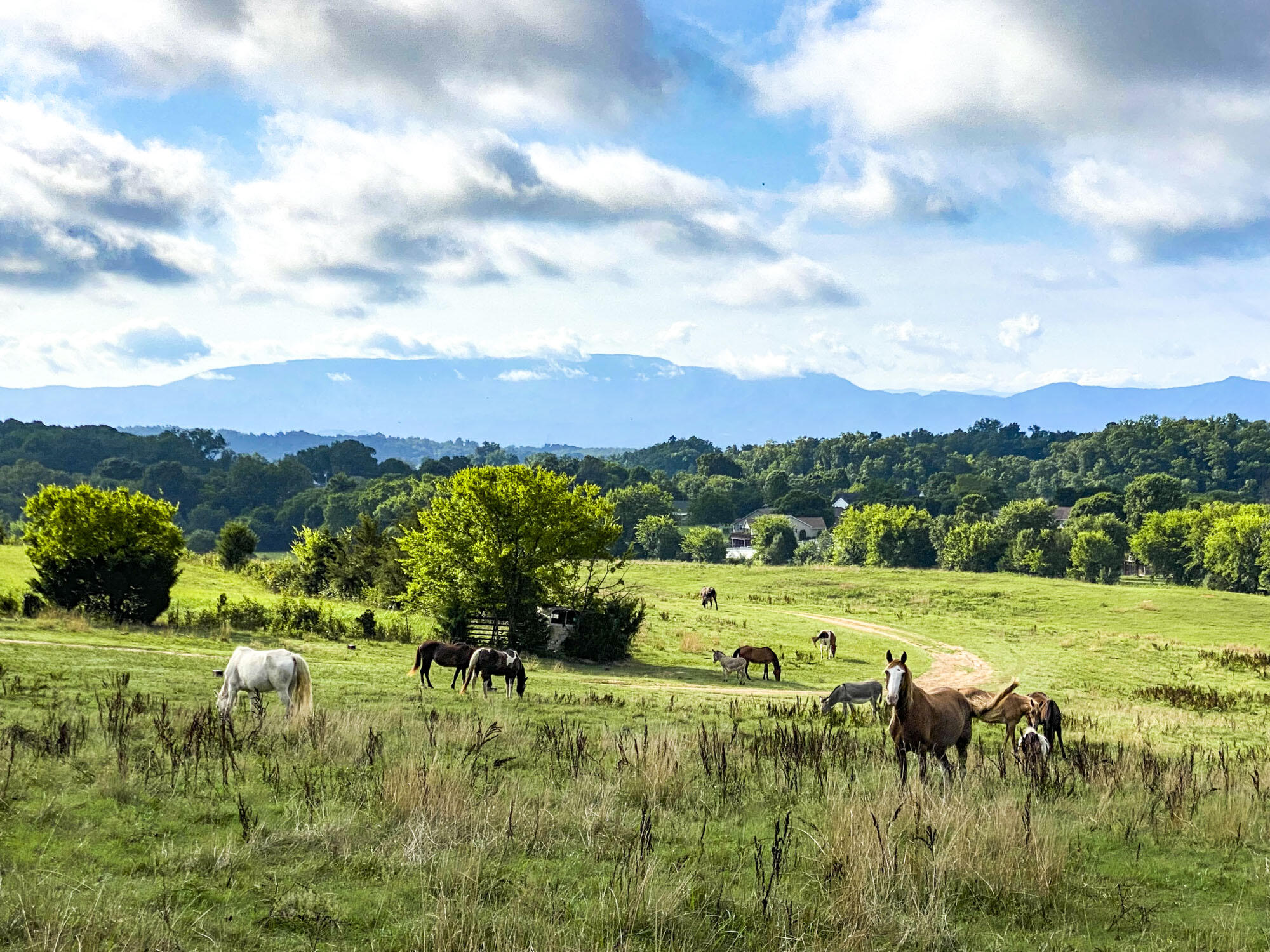 Hwy 139, Dandridge, Tennessee image 8