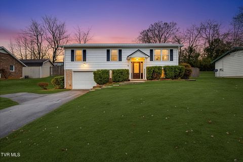 Photo of 3200 Buckingham Drive, Johnson City, TN 37604 (MLS # 9988547)