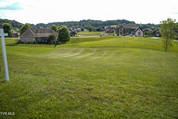 112 CARDINAL PT, BLOUNTVILLE, TN 37617 - Image 84b29941fb3e87ceded441a5e05dfef8/3484276591
