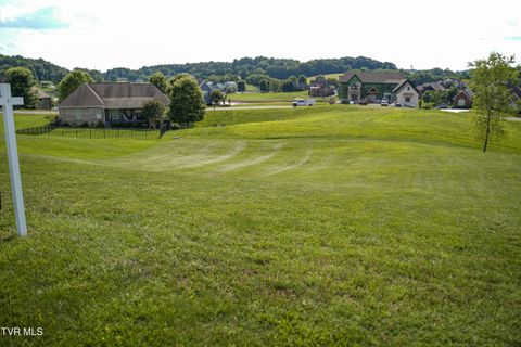Vacant Land For Sale - 112 Cardinal Point<br/> Sullivan County, Blountville, TN 37617