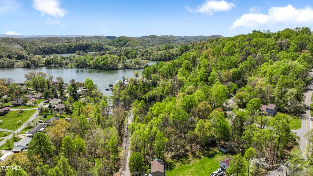 Photo of 4008 Cooks Inlet Road, Kingsport, TN 37664 (MLS # 9987527)