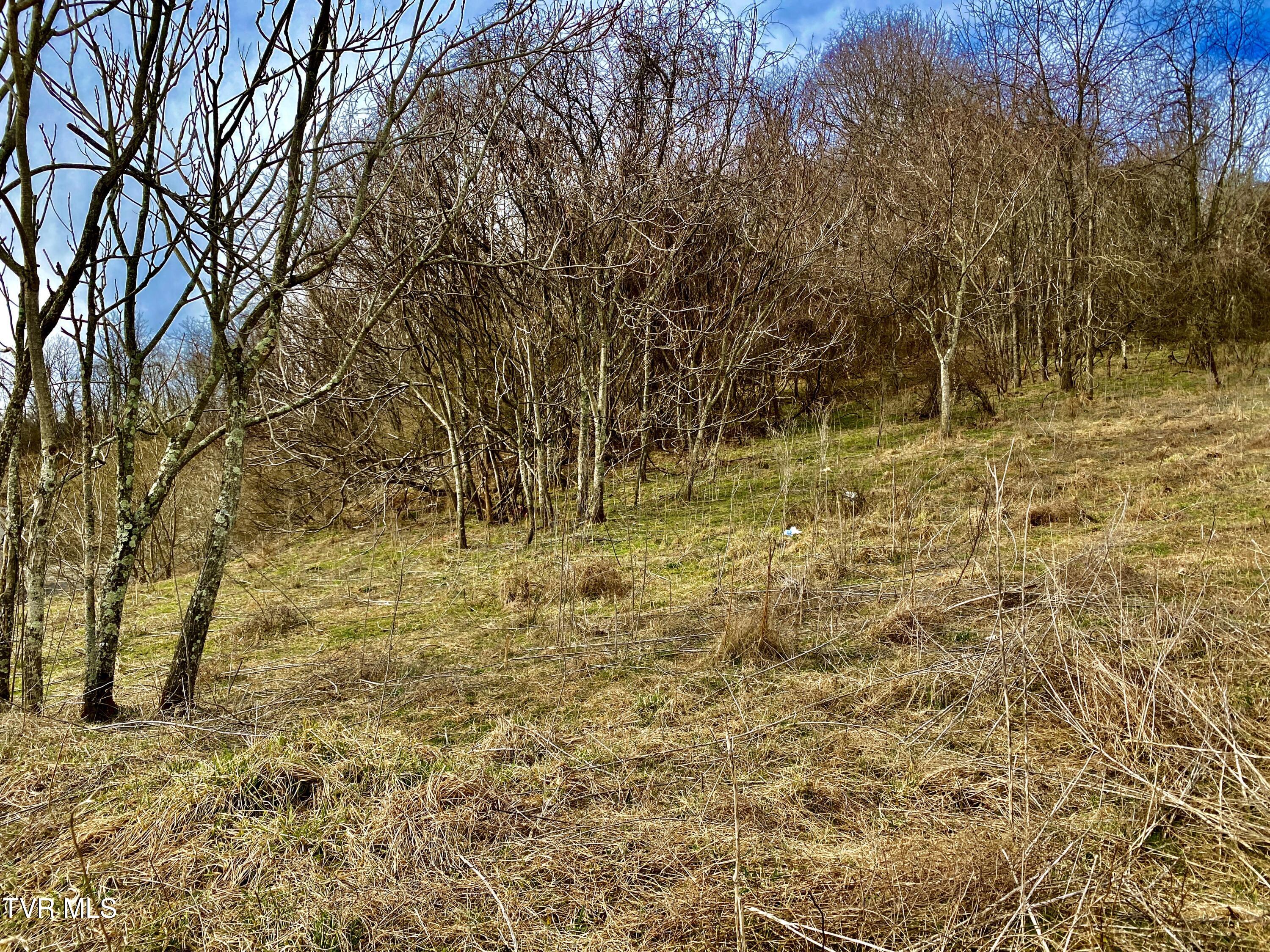 Wndy Drive, Marion, Virginia image 5