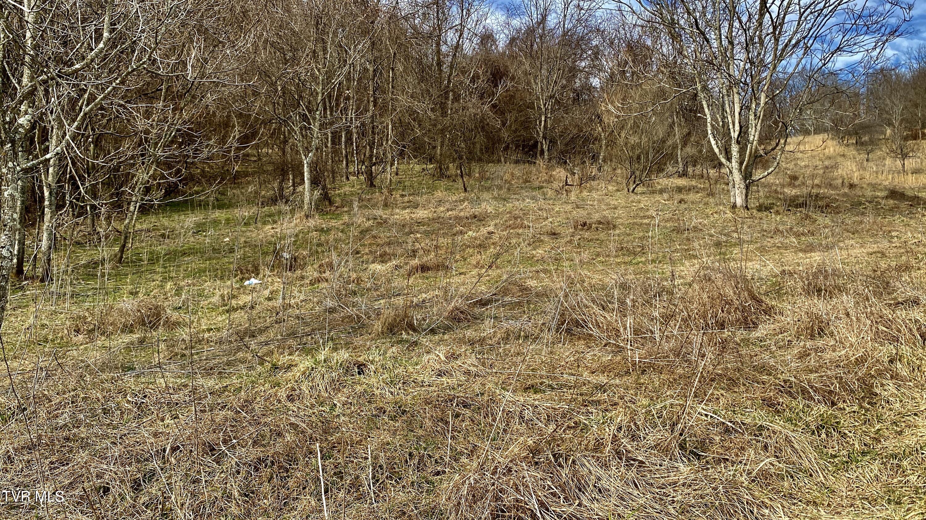 Wndy Drive, Marion, Virginia image 3
