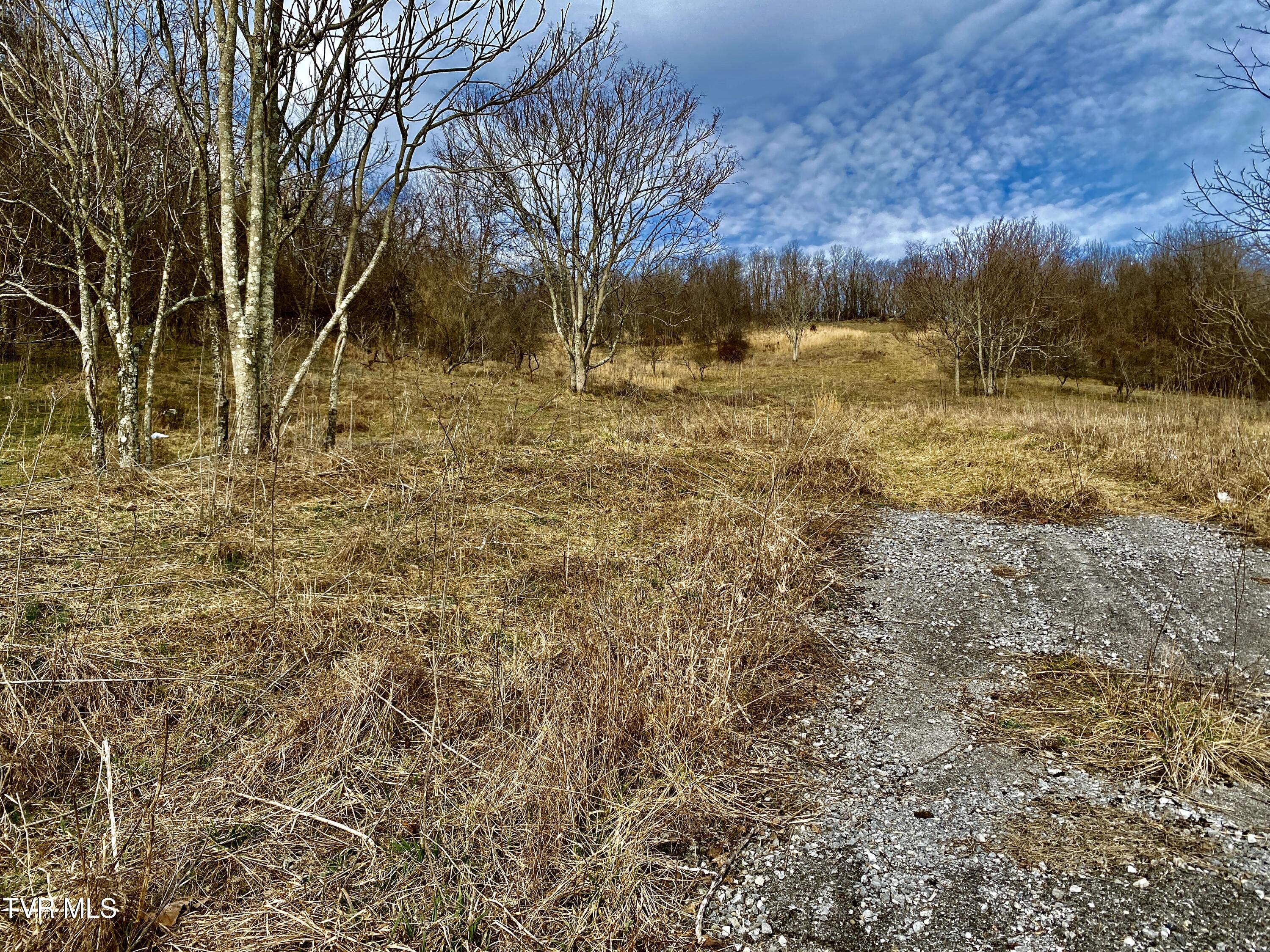 Wndy Drive, Marion, Virginia image 4