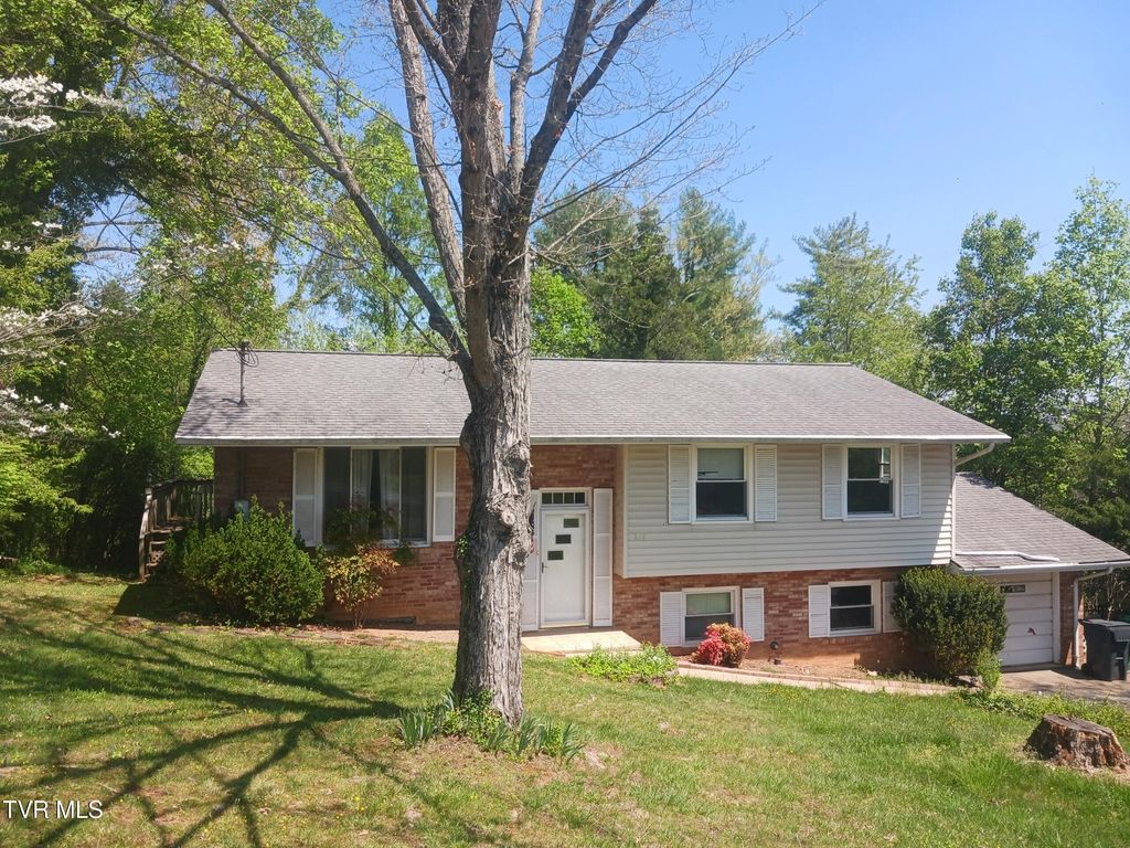 Photo of 217 Holland Drive, Kingsport, TN 37663 (MLS # 9993866)