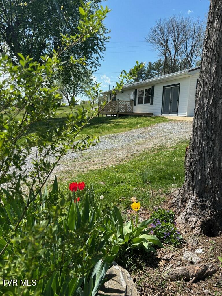 61 Tiny Lane, Greeneville, Tennessee image 50