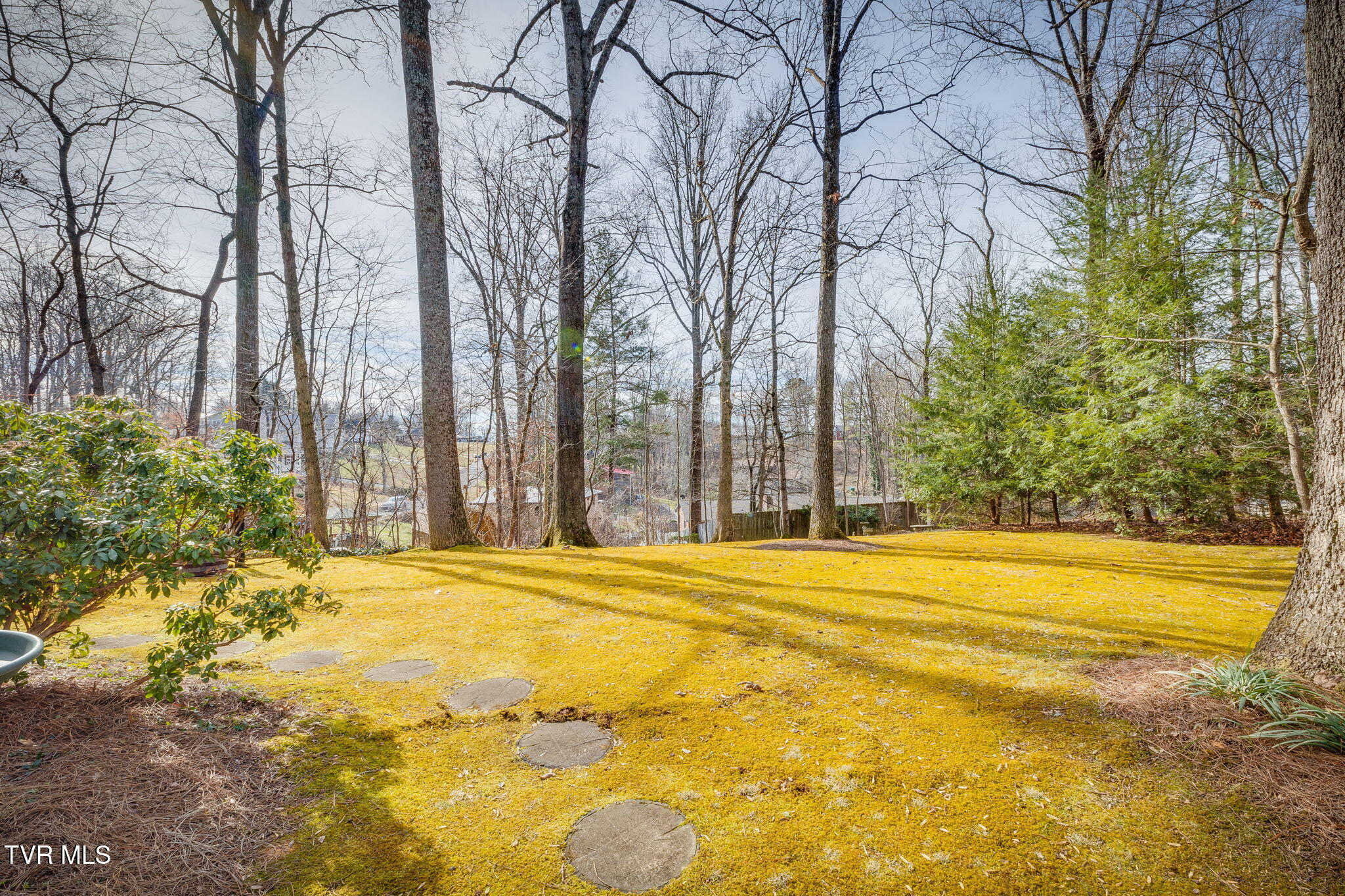 145 Sycamore Circle, Jonesborough, Tennessee image 35