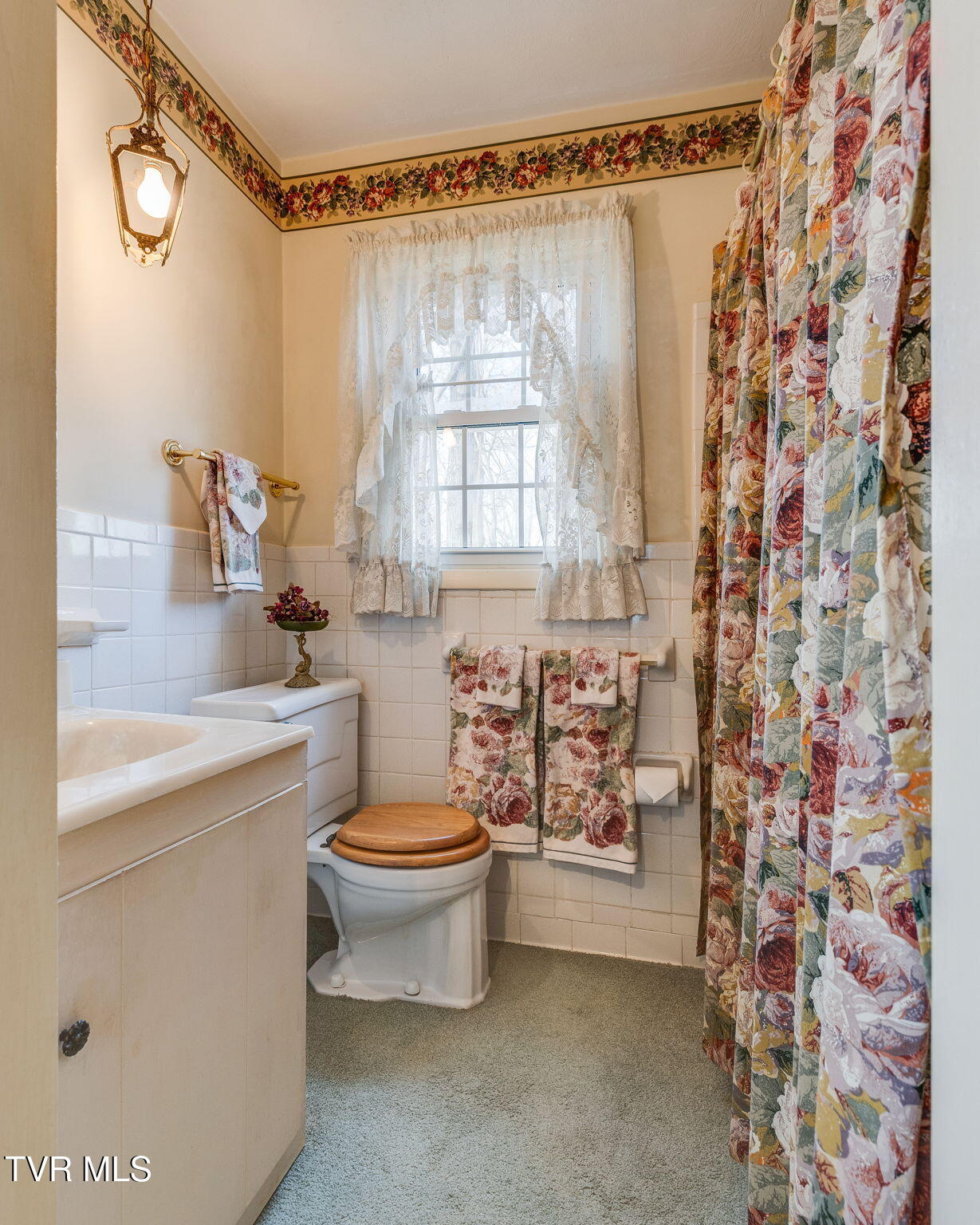 145 Sycamore Circle, Jonesborough, Tennessee image 25