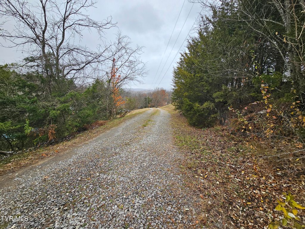 Photo of 493 Banners Corner Road, Castlewood, VA 24224 (MLS # 9988190)