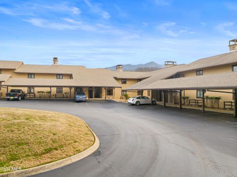 Photo of 1824 Oriole Road #206, Gatlinburg, TN 37738 (MLS # 9992749)