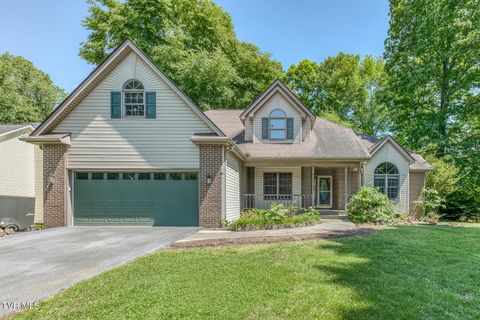 Photo of 120 Hillview Court, Gray, TN 37615 (MLS # 9995340)