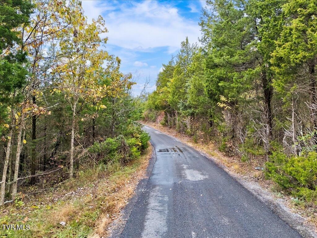 Photo of 359 Buzzard Roost Road, Bulls Gap, TN 37711 (MLS # 9987788)