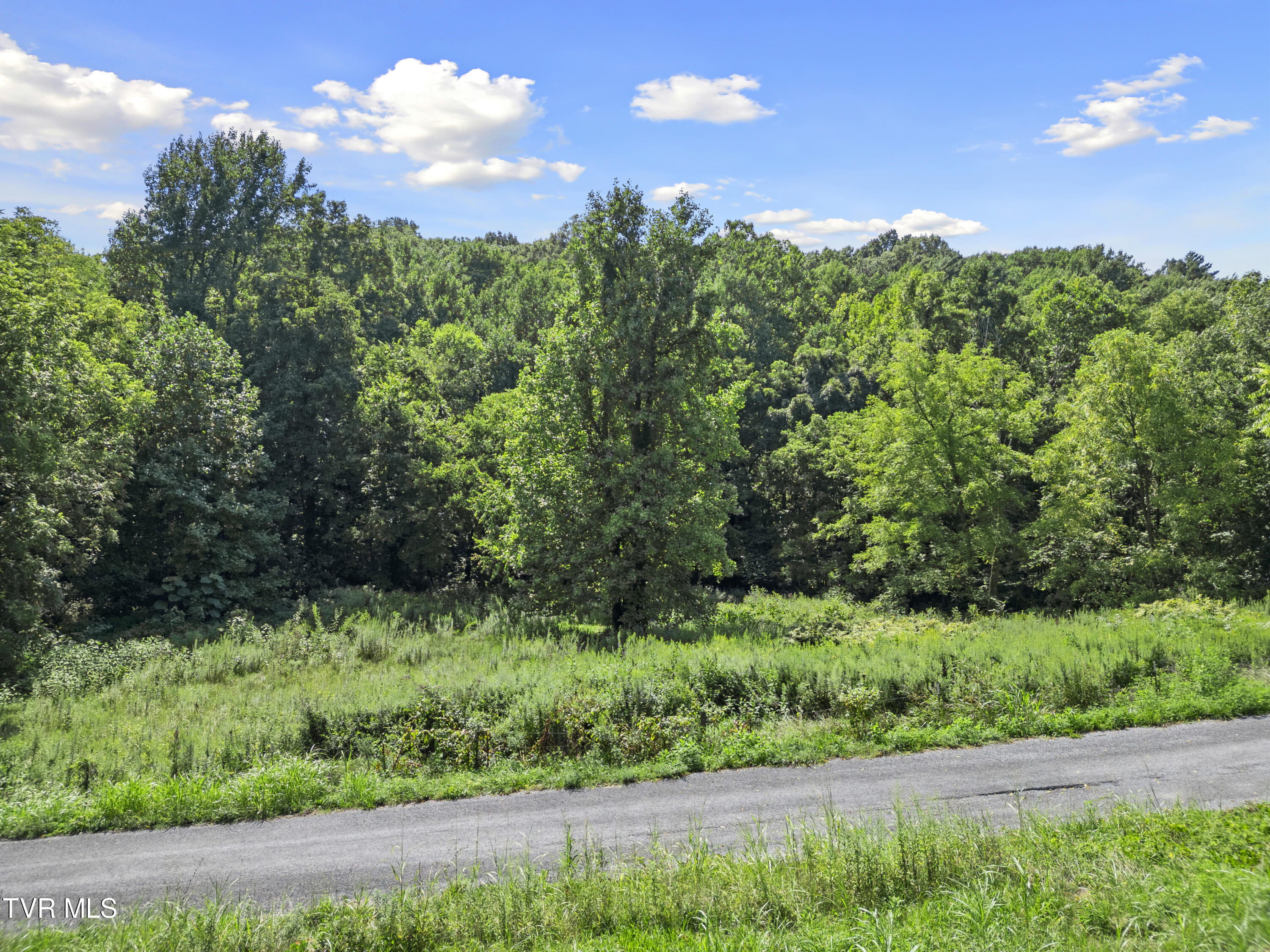 1.9 Acres Cecil Davis Road, Greeneville, Tennessee image 12