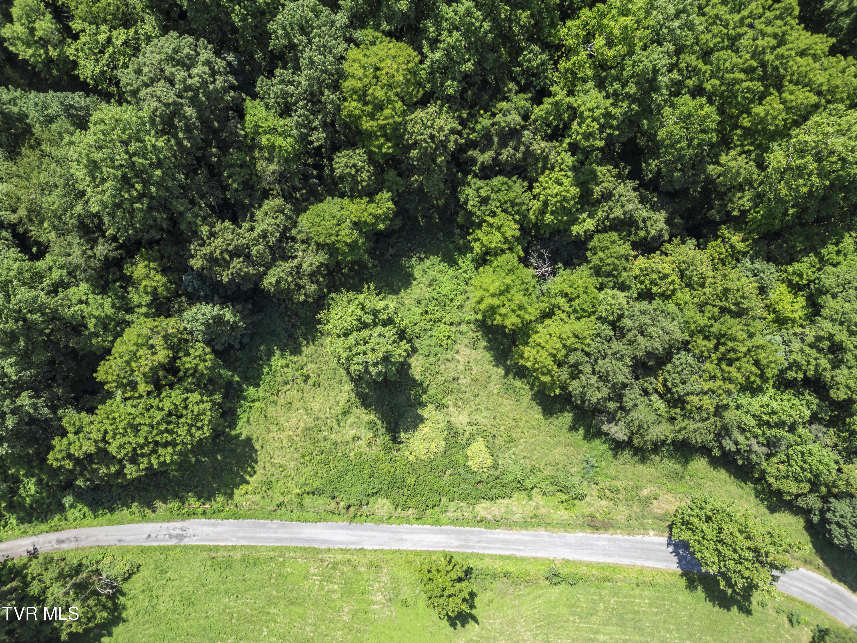 1.9 Acres Cecil Davis Road, Greeneville, Tennessee image 8