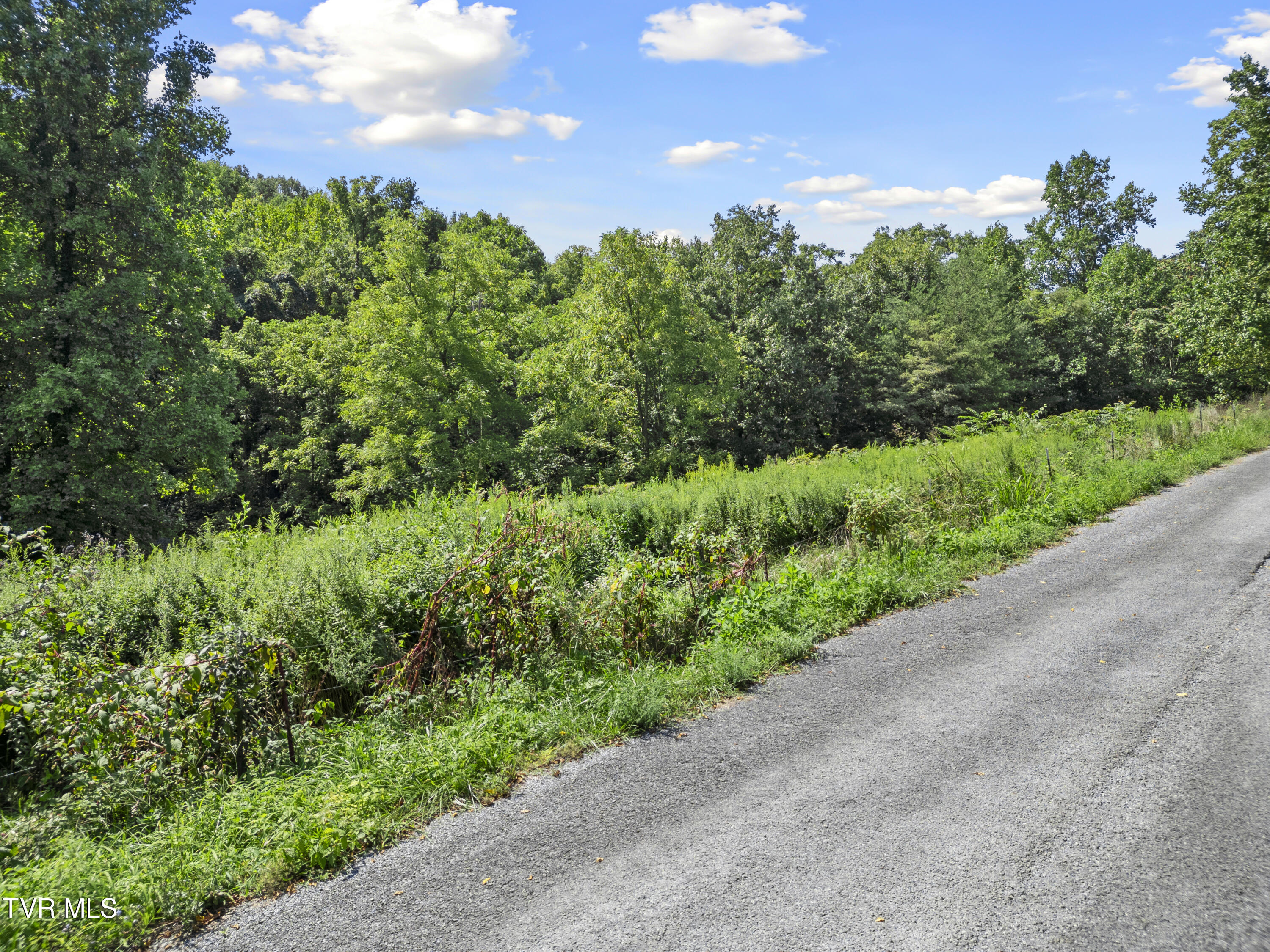 1.9 Acres Cecil Davis Road, Greeneville, Tennessee image 7